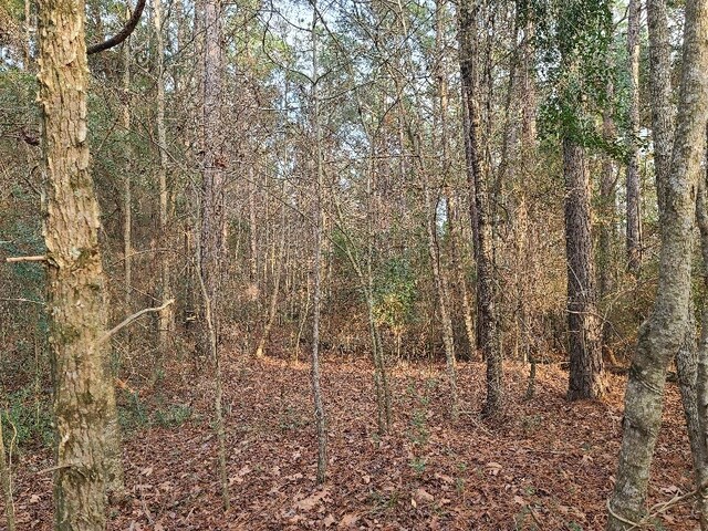 4500BLK Fm 225 N, Douglass, TX 75943 - photo 7