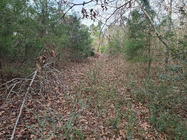 4500BLK Fm 225 N, Douglass, TX 75943 - photo 4