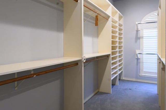 spacious closet featuring dark carpet