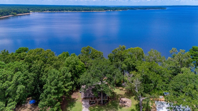 141 Cheyenne Rd, Zavalla, TX 75980 - photo 50
