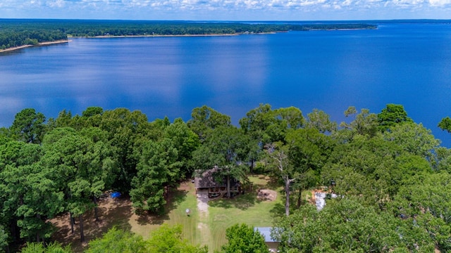 141 Cheyenne Rd, Zavalla, TX 75980 - photo 49