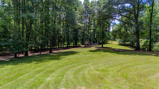 141 Cheyenne Rd, Zavalla, TX 75980 - photo 46