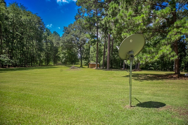 141 Cheyenne Rd, Zavalla, TX 75980 - photo 47