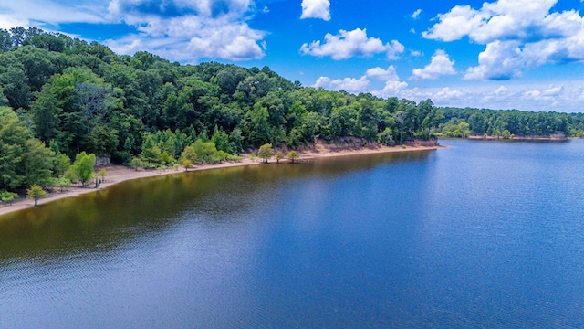 141 Cheyenne Rd, Zavalla, TX 75980 - photo 61