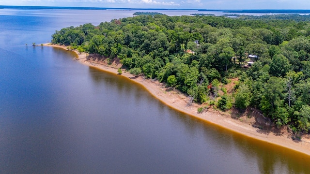 141 Cheyenne Rd, Zavalla, TX 75980 - photo 54
