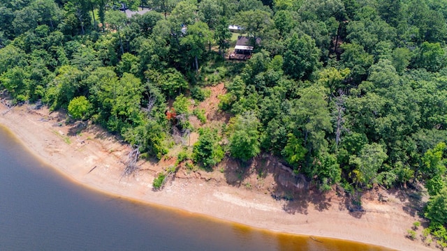 141 Cheyenne Rd, Zavalla, TX 75980 - photo 56