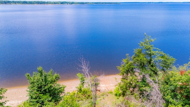 141 Cheyenne Rd, Zavalla, TX 75980 - photo 60