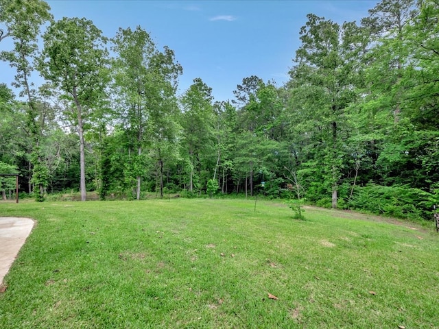 view of yard featuring a wooded view