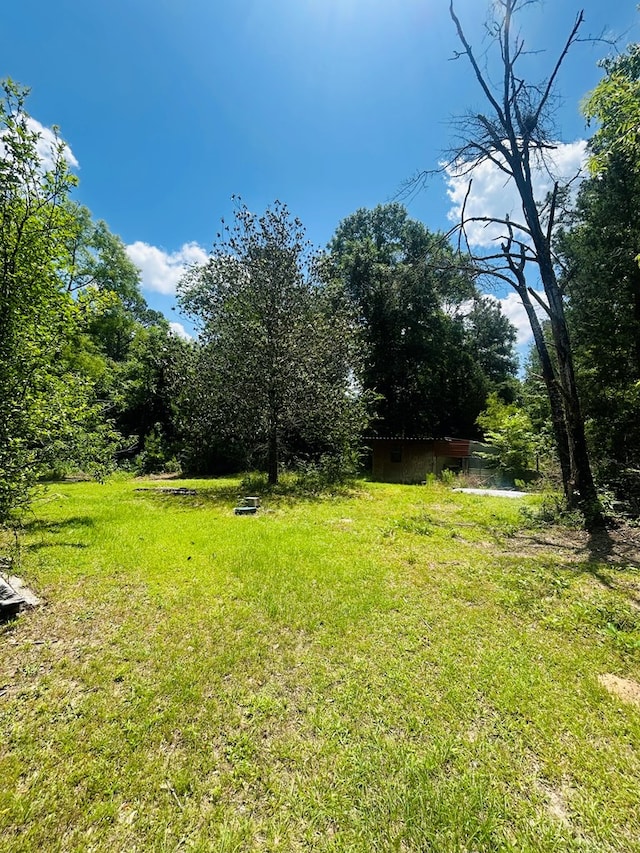 557 County Road 164, Jasper, TX 75951 - photo 10