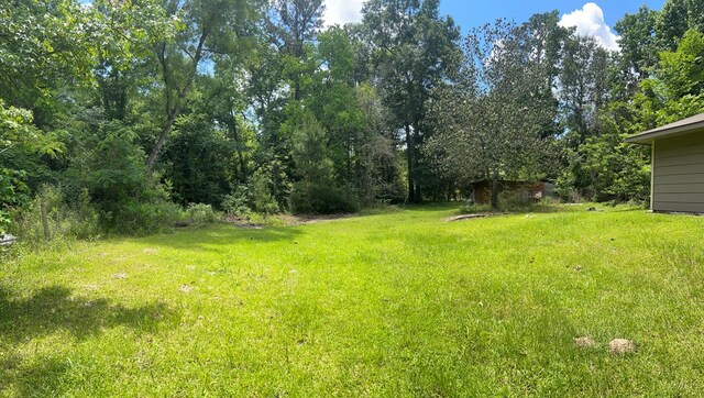557 County Road 164, Jasper, TX 75951 - photo 6