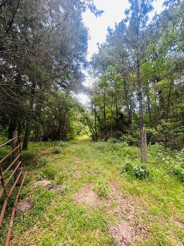 557 County Road 164, Jasper, TX 75951 - photo 9