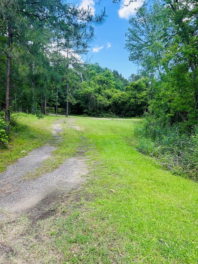 557 County Road 164, Jasper, TX 75951 - photo 8
