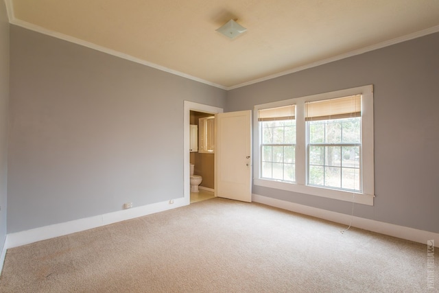 511 1st, Jasper, TX 75951 - empty room with light colored carpet and ornamental molding