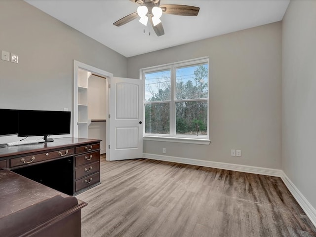 office area featuring ceiling fan and light hardwood / wood-style floors