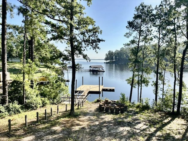 dock area with a water view