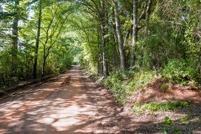1982 County Road 836, Nacogdoches, TX 75964 - view of dirt / gravel road featuring a forest view