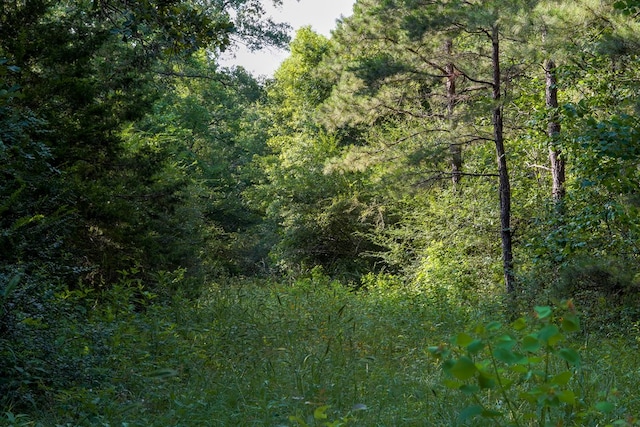 1982 County Road 836, Nacogdoches, TX 75964 - view of tree filled area