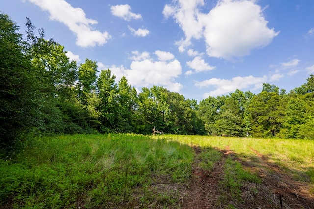 1982 County Road 836, Nacogdoches, TX 75964 - view of tree filled area