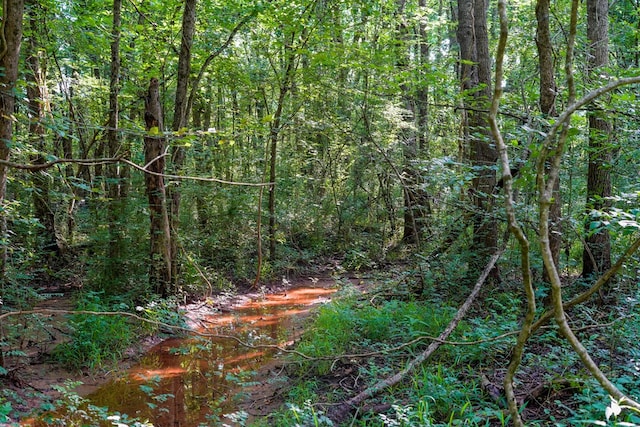 1982 County Road 836, Nacogdoches, TX 75964 - view of woods