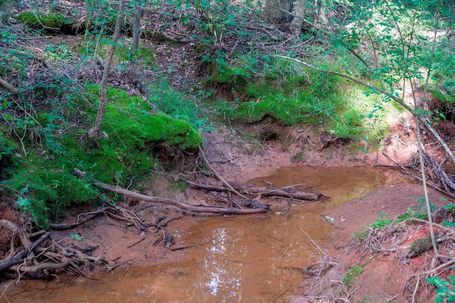 1982 County Road 836, Nacogdoches, TX 75964 - view of undeveloped land