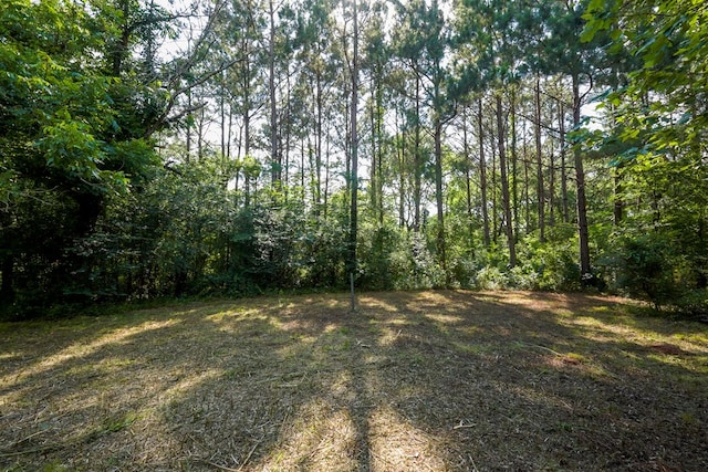 1982 County Road 836, Nacogdoches, TX 75964 - view of yard with a view of trees