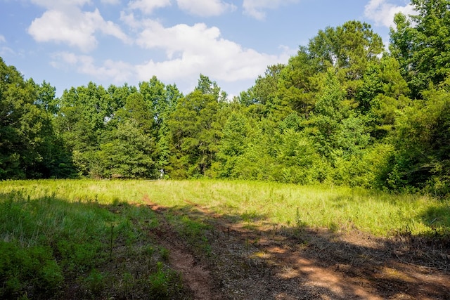 1982 County Road 836, Nacogdoches, TX 75964 - view of woods