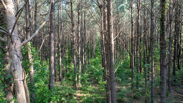 1982 County Road 836, Nacogdoches, TX 75964 - view of wooded area