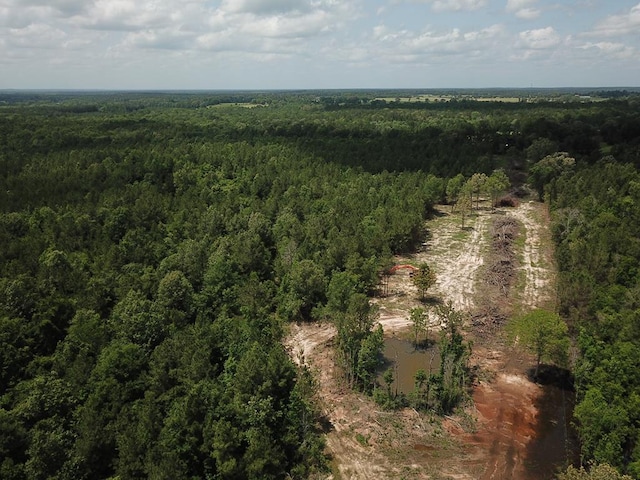 698 County Road 541, Kirbyville, TX 75956 - photo 1
