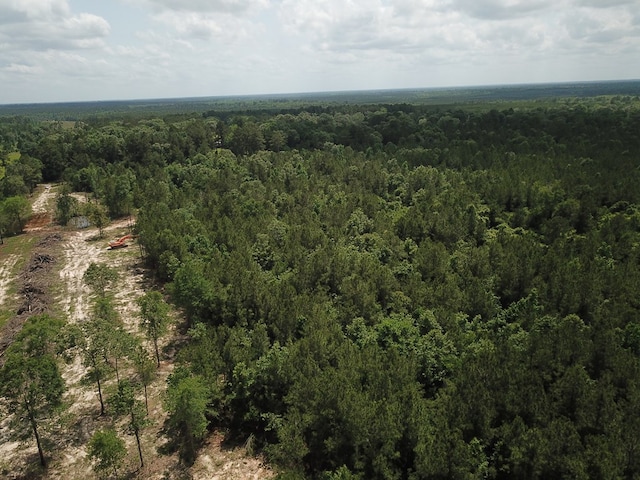 698 County Road 541, Kirbyville, TX 75956 - photo 7