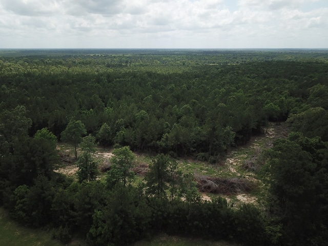 698 County Road 541, Kirbyville, TX 75956 - photo 3