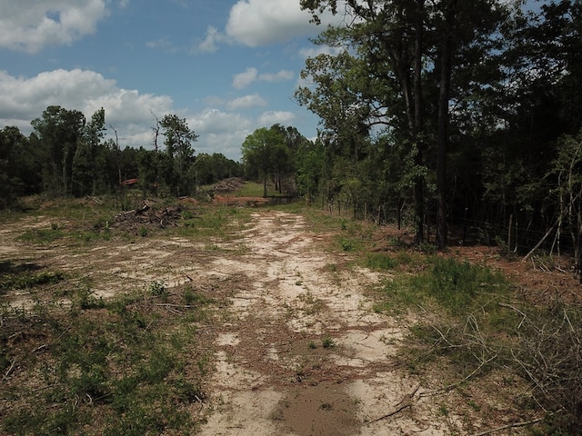 698 County Road 541, Kirbyville, TX 75956 - photo 16