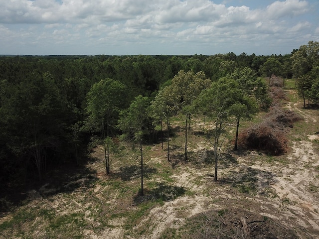 698 County Road 541, Kirbyville, TX 75956 - photo 12