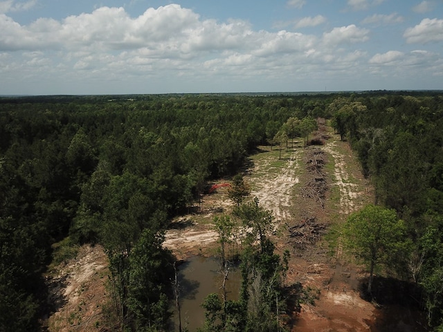 698 County Road 541, Kirbyville, TX 75956 - photo 13