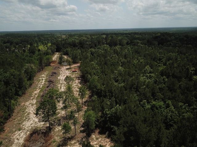 698 County Road 541, Kirbyville, TX 75956 - photo 5