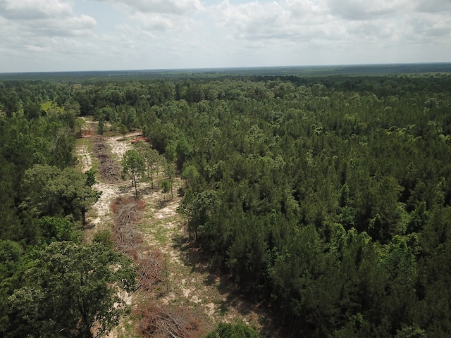 698 County Road 541, Kirbyville, TX 75956 - photo 4