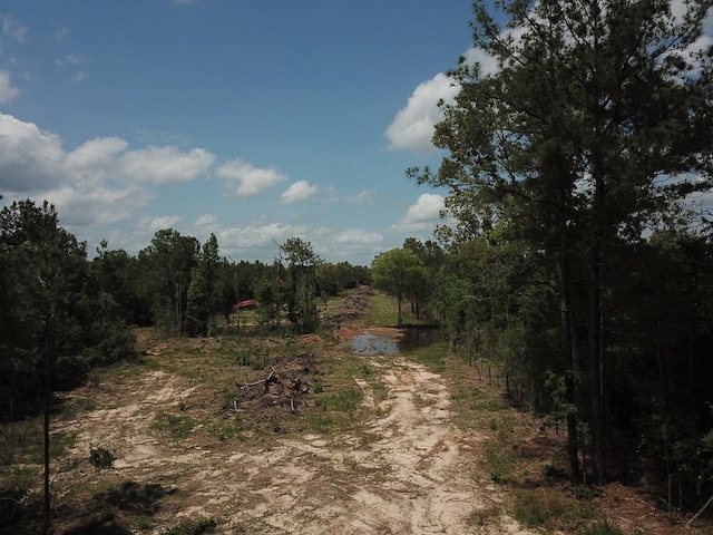 698 County Road 541, Kirbyville, TX 75956 - photo 2