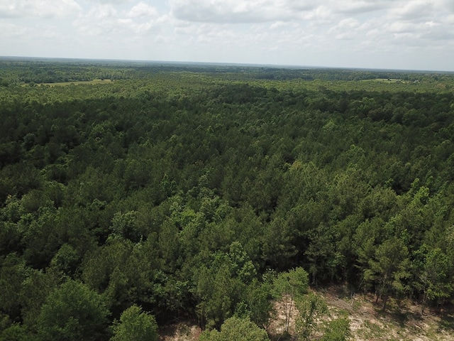 698 County Road 541, Kirbyville, TX 75956 - photo 9