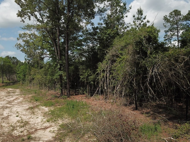 698 County Road 541, Kirbyville, TX 75956 - photo 17