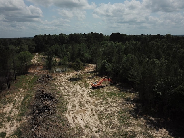 698 County Road 541, Kirbyville, TX 75956 - photo 6