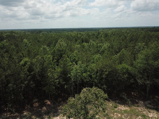 698 County Road 541, Kirbyville, TX 75956 - photo 11