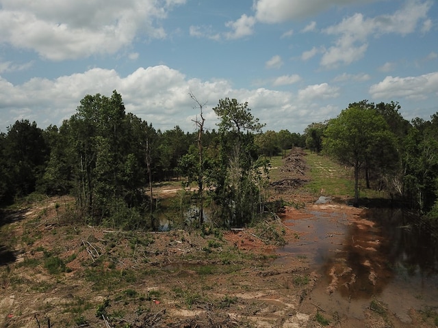 698 County Road 541, Kirbyville, TX 75956 - photo 14
