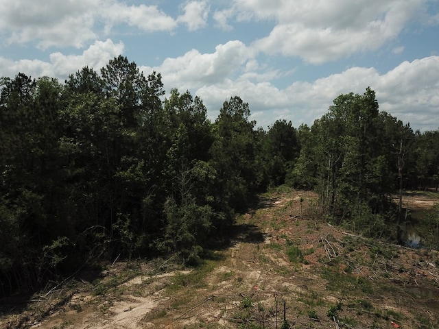 698 County Road 541, Kirbyville, TX 75956 - photo 15