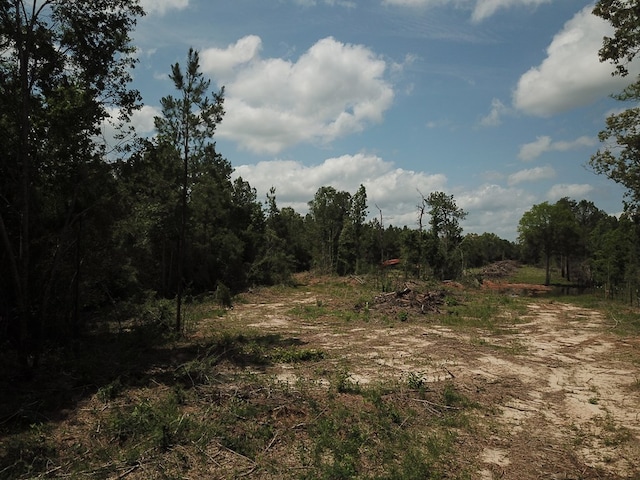 698 County Road 541, Kirbyville, TX 75956 - photo 18
