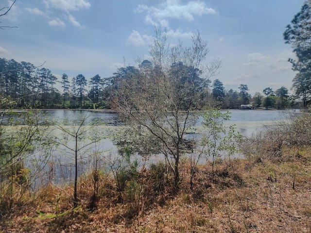 530 County Road 4210, Woodville TX, 75979 land for sale