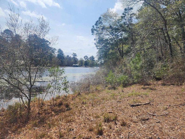 Listing photo 3 for 530 County Road 4210, Woodville TX 75979