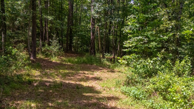 7706 Fm 851 S, Alto, TX 75925 - photo 6