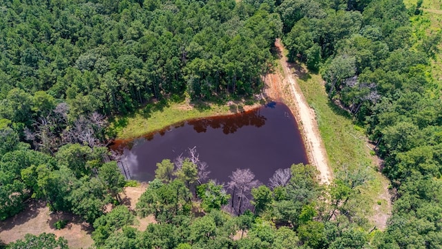 7706 Fm 851 S, Alto, TX 75925 - photo 13