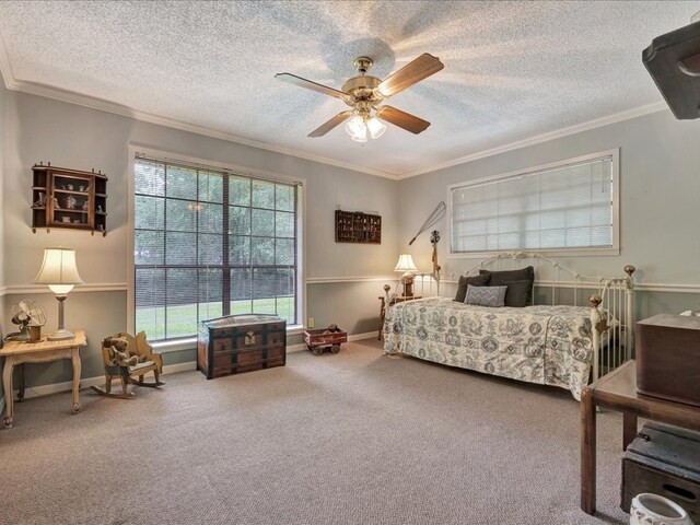 carpeted bedroom with multiple windows, ceiling fan, crown molding, and a textured ceiling