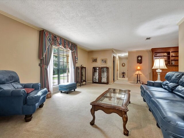 carpeted living room with a textured ceiling and ornamental molding