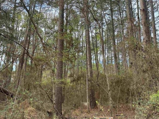 331 Bowline Dr, Hemphill TX, 75948 land for sale